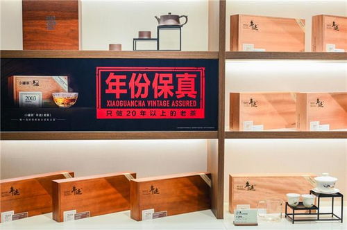 小罐茶杜国楹 新零售时代的品牌变革引领者